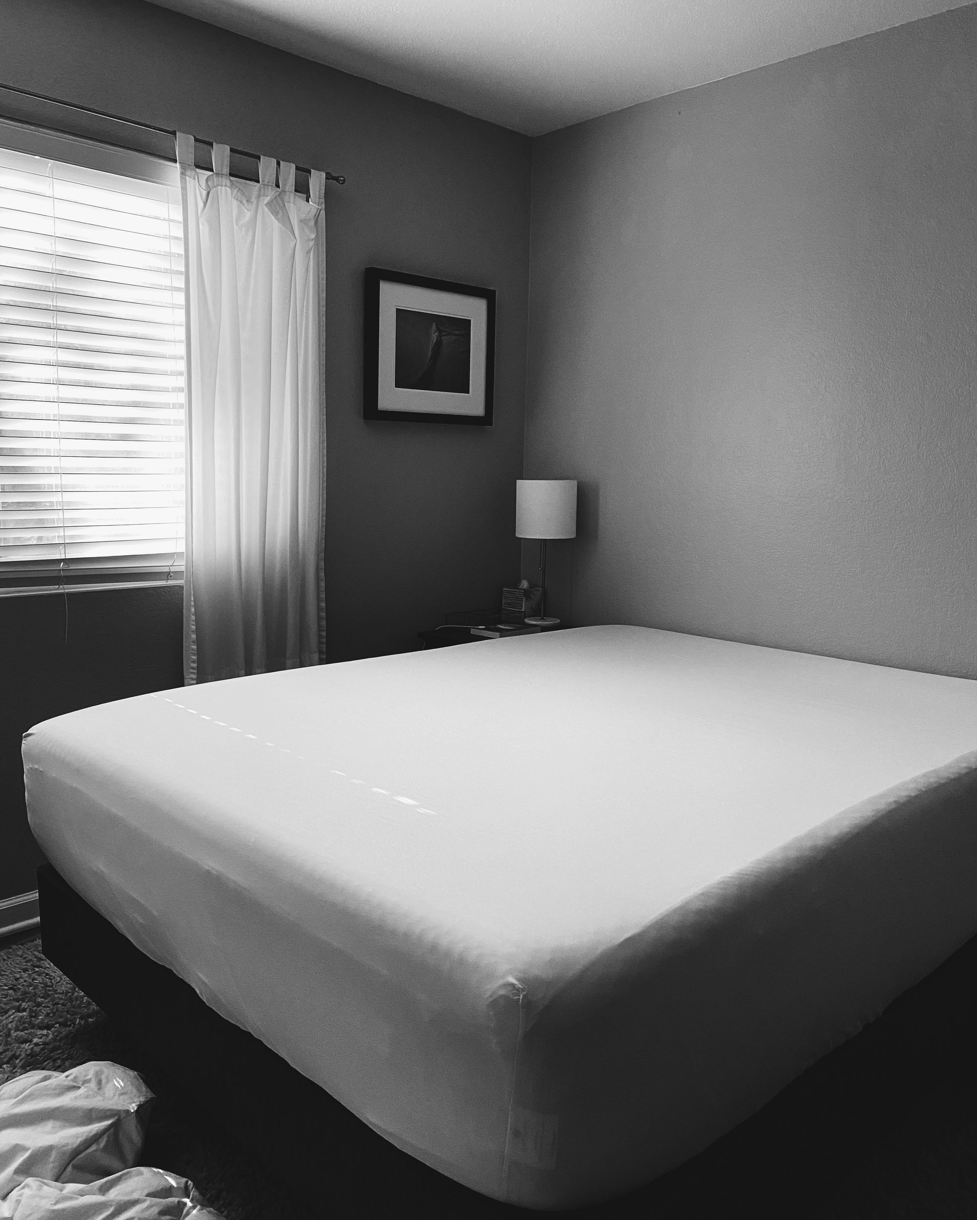 A bedroom scene in high-contrast black-and-white. In the foreground, a bed with the covers and pillows stripped off. Light shining through venetian blinds to the left. On the back wall, a framed photograph of rumpled sheets.