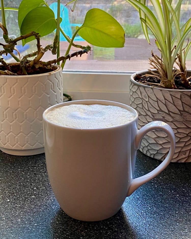 A white cup of coffee with foamed milk, on a countertop by a window and some houseplants